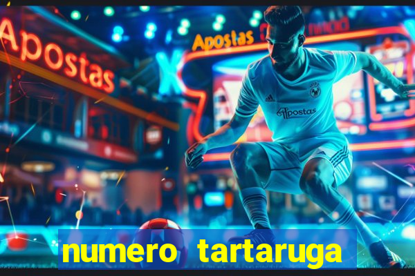 numero tartaruga jogo do bicho